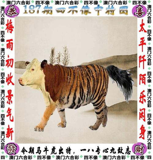 2024澳门资料大全正版免费资料,设计策略快速解答_整版DKJ656.74