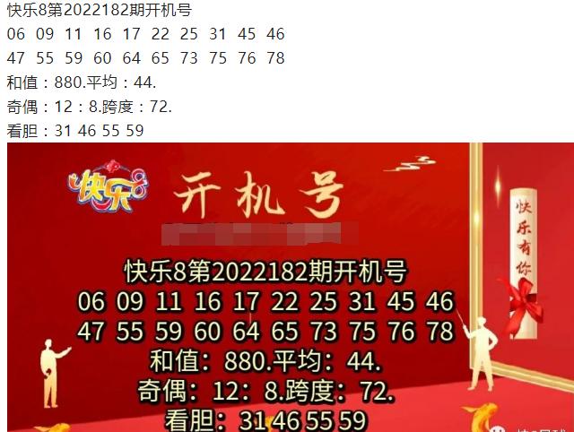 2024年11月24日 第13页