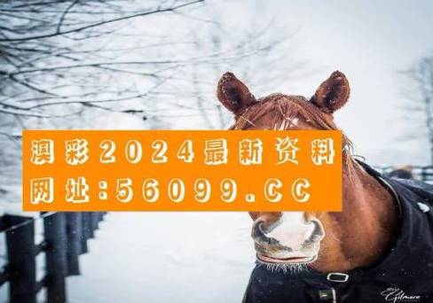 4949cc澳彩开奖号码2023,五不中,真实经典策略设计_VR型43.237