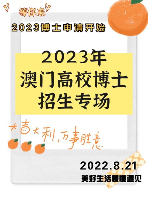 2023澳门资料大全免费彩色,设计策略快速解答_整版DKJ656.74