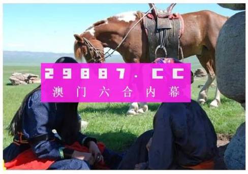 澳门天天彩资料自动更新手机版,设计策略快速解答_整版DKJ656.74