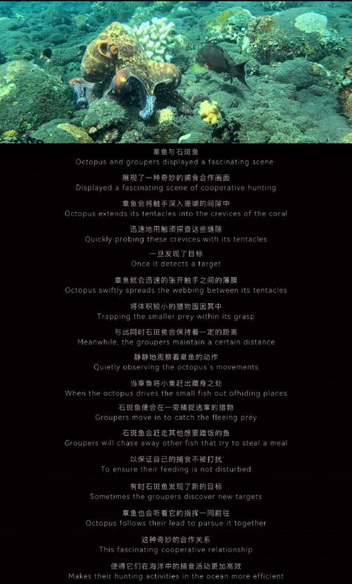 两个人看的电影高清在线观看免费,绝对策略计划研究_社交版40.12.0