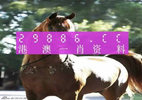 2024年11月28日 第12页