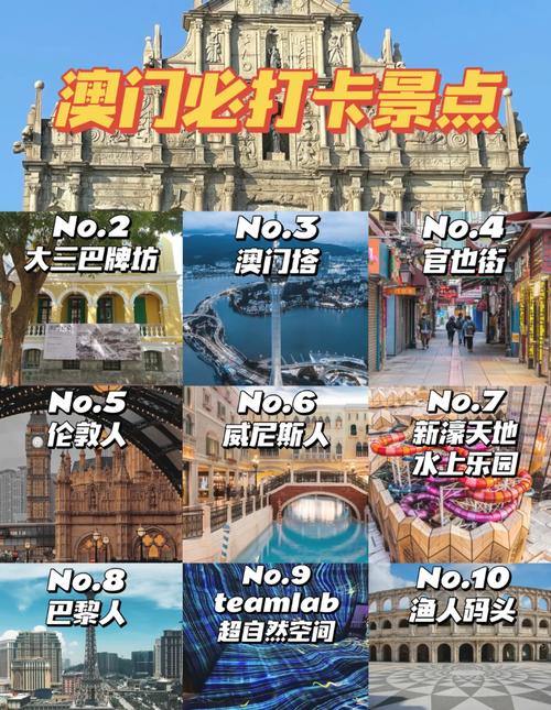 2024年11月28日 第8页