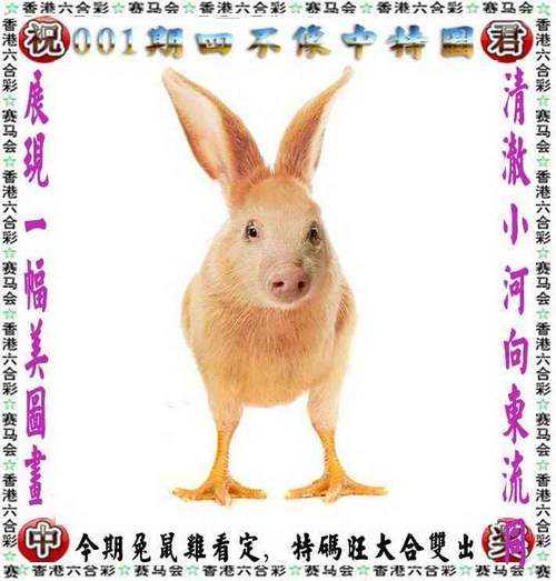 澳门六开奖结果2023开奖记录新,真实经典策略设计_VR型43.237