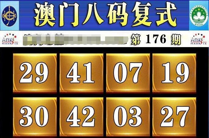 澳门六合最准资料,设计策略快速解答_整版DKJ656.74