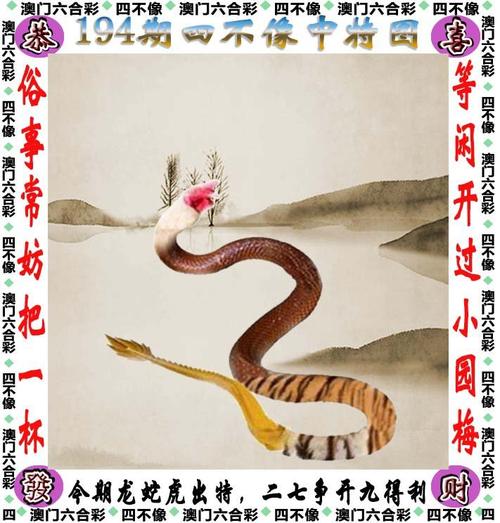 澳门今晚最准一肖一码必中,真实经典策略设计_VR型43.237