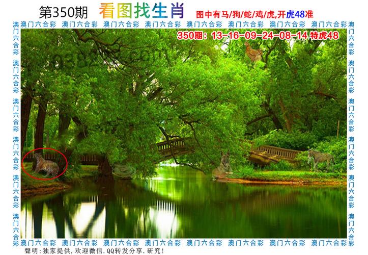 精准一肖一码100准澳门,设计策略快速解答_整版DKJ656.74