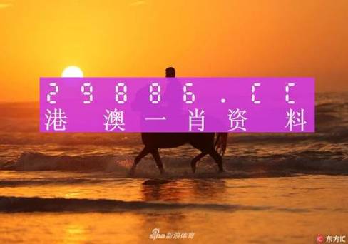 新澳门资料大全正版资料2024免费,真实经典策略设计_VR型43.237