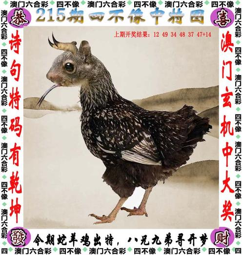 2024年12月18日 第2页