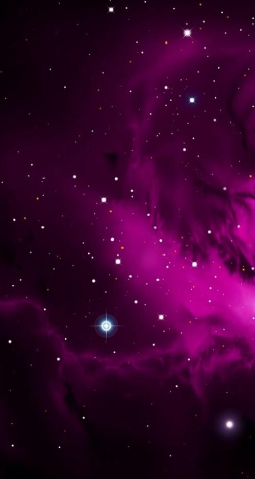 星空电影在线观看免费版高清,绝对策略计划研究_社交版40.12.0