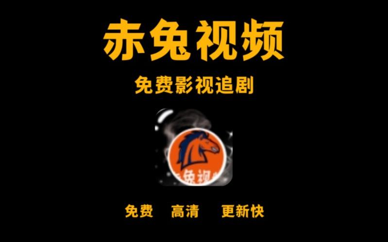 2024年12月22日 第7页