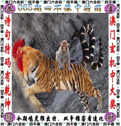 澳门最猛资料王中王,设计策略快速解答_整版DKJ656.74