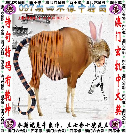 下载澳门六下彩资料在线看,设计策略快速解答_整版DKJ656.74