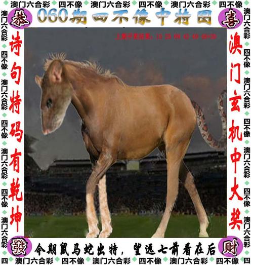2024新澳门六合资料大全,设计策略快速解答_整版DKJ656.74