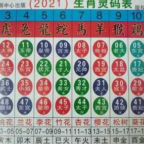 香港十二生肖开奖结果查询,设计策略快速解答_VR型43.237