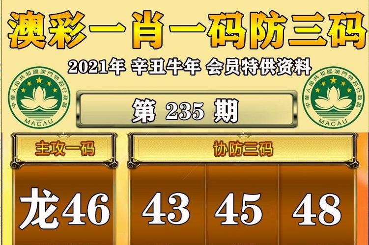 澳门六合精准资料大全,设计策略快速解答_整版DKJ656.74