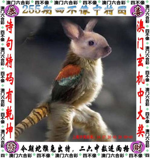 2025年1月17日 第2页