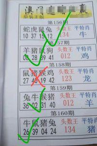 澳门精准单双四肖,设计策略快速解答_整版DKJ656.74