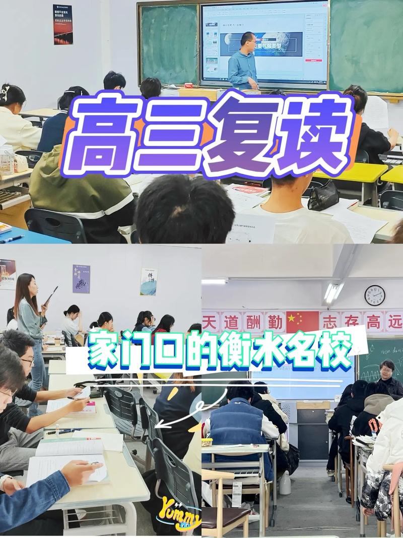 体育生怎么复读,设计策略快速解答_VR型43.237