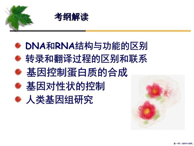 大连国际物流运输,绝对策略计划研究_社交版40.12.0