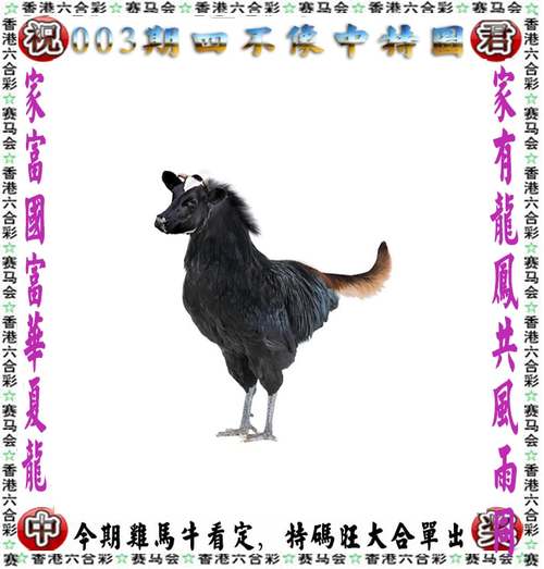 香港特马开什么号码,设计策略快速解答_整版DKJ656.74