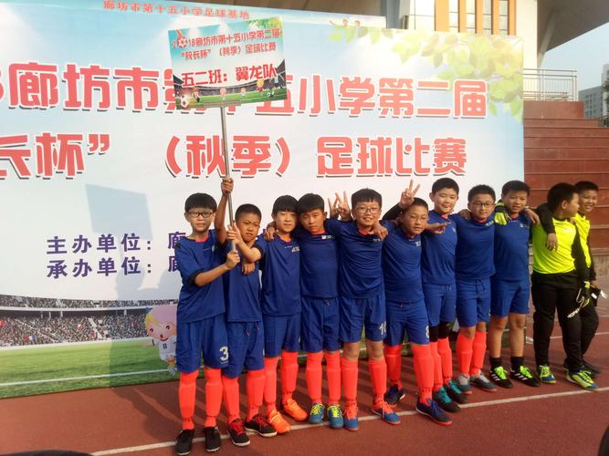 体育赛事足球比赛,设计策略快速解答_整版DKJ656.74
