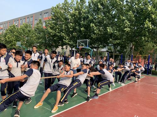 比赛体育比赛,设计策略快速解答_整版DKJ656.74