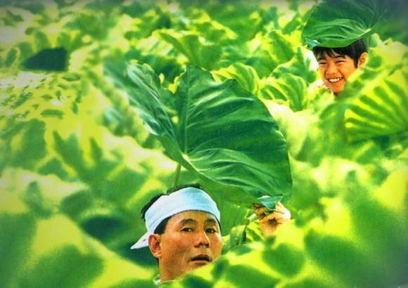 2025年1月30日 第3页