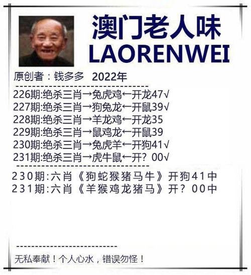 澳门六合内部一肖中特,设计策略快速解答_整版DKJ656.74