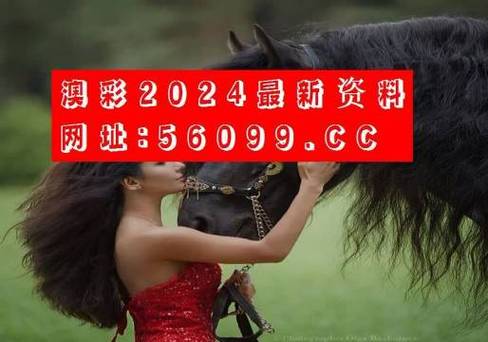 澳门正版猛虎报资料,设计策略快速解答_整版DKJ656.74